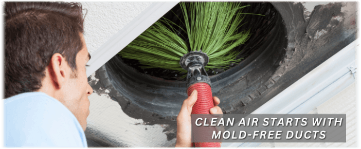 Air Duct Mold Removal in Humble